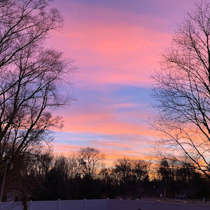 Meet your Posher, Cora